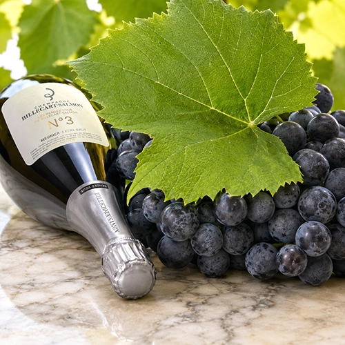 PINOT MEUNIER